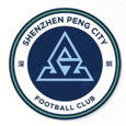  深圳新鹏城U21logo