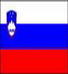  斯洛文尼亚女篮U20logo